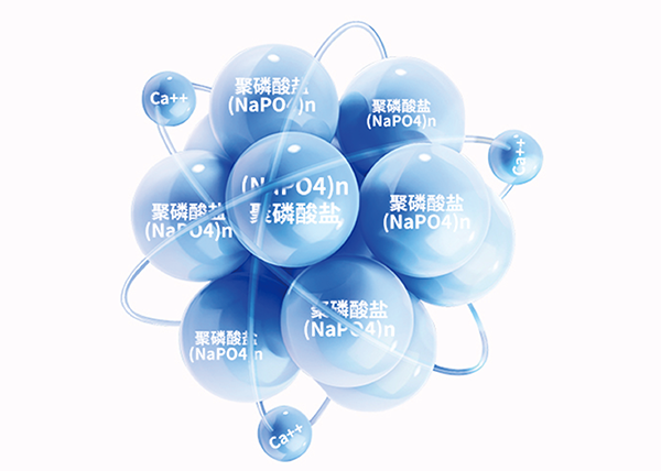 游艇会yth·(中国)最新官方网站